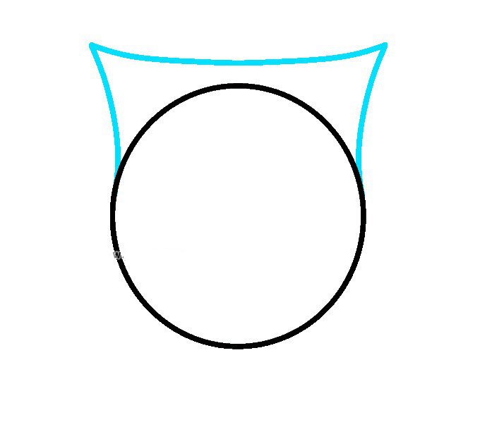 步骤2：接下来，我们画出头部的顶部，它连接到圆形的身体形状。