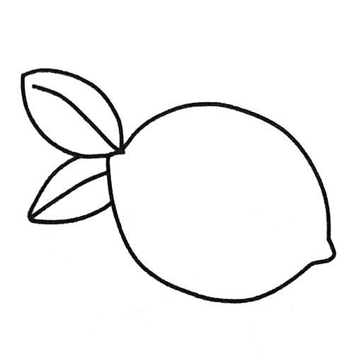 柠檬轮廓简笔画图片2