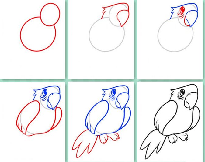 如何画鹦鹉
