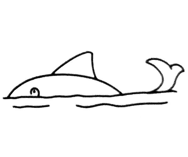 一组卡通鲨鱼简笔画图片