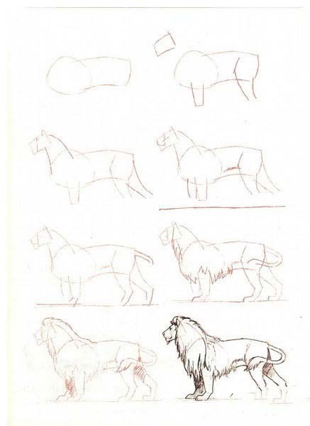 简笔画教程 狮子简笔画画法