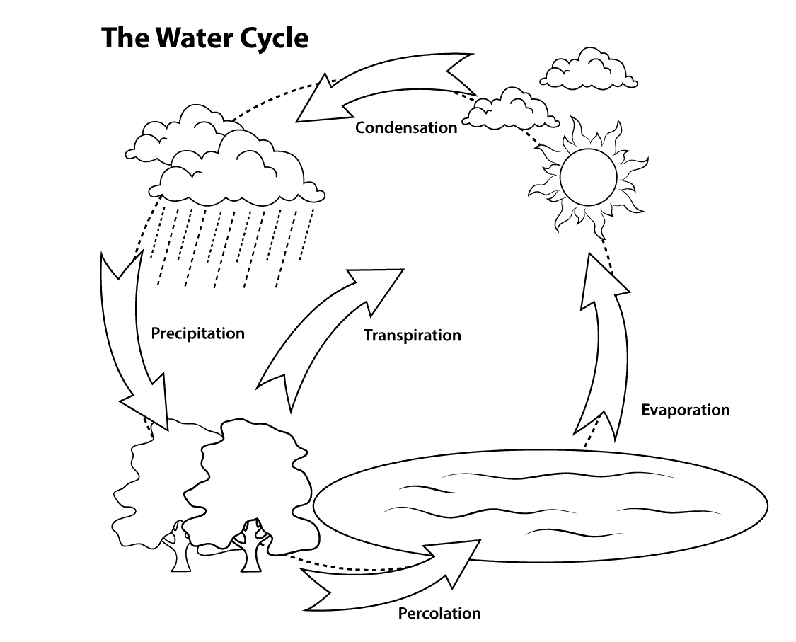大自然水循环简笔画