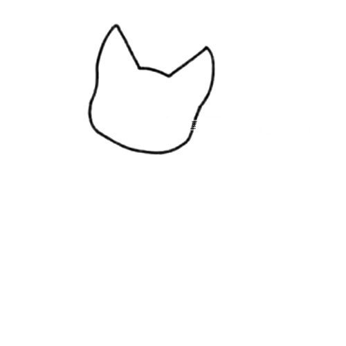 1.画出猫的头部。