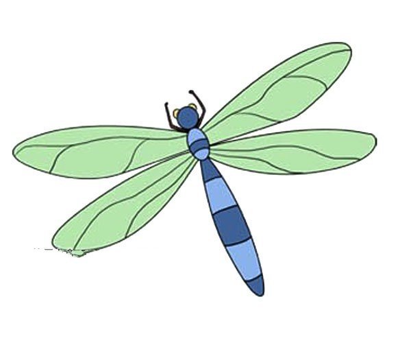 漂亮的蜻蜓简笔画图片2