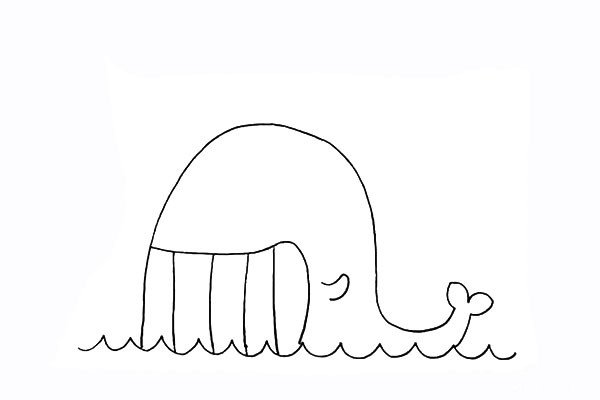 6.在鲸鱼的身体上画一个小小的鱼鳍.