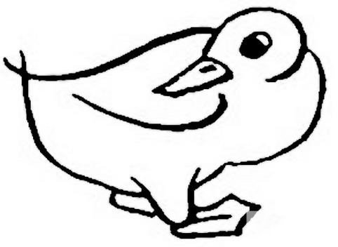 生动的小鸭子简笔画