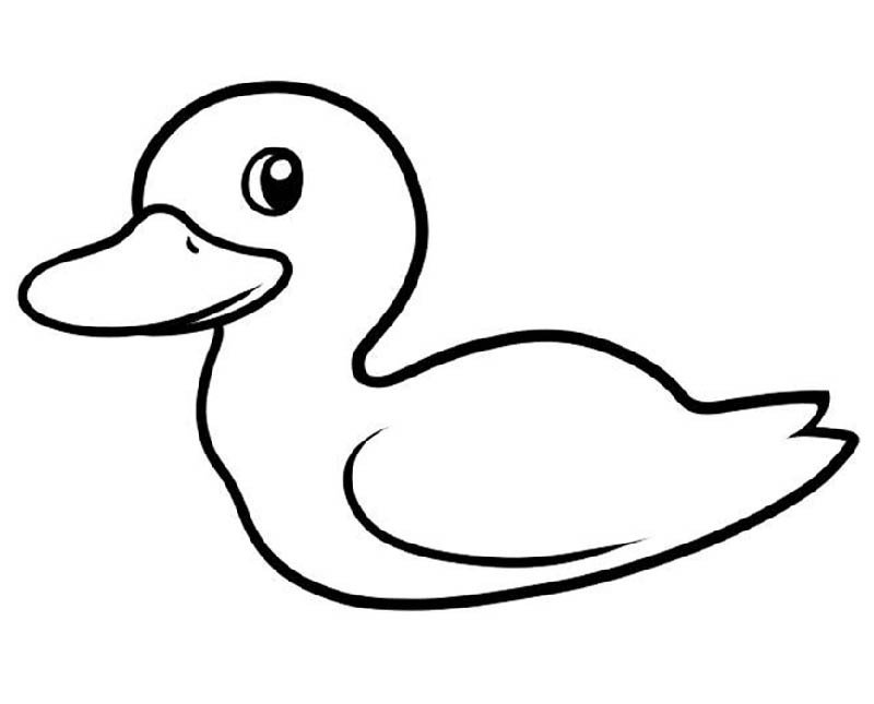 幼儿园小鸭子的画法