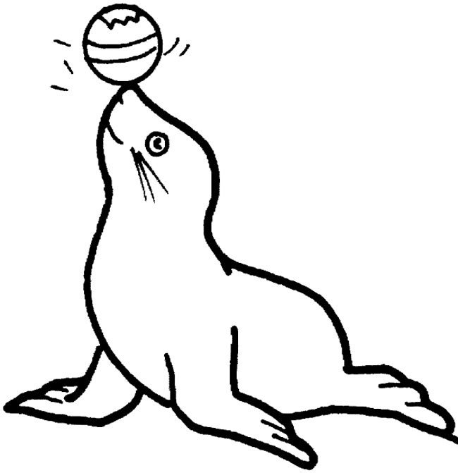 海洋动物简笔画大全 海豹简笔画图片