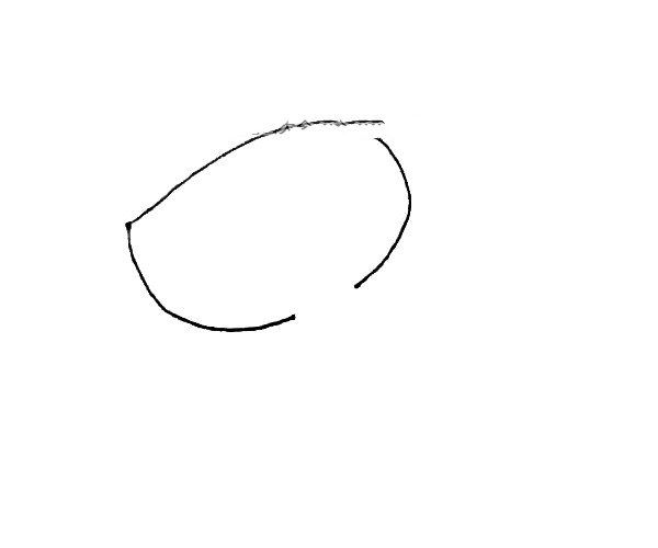 第一步：画上半个椭圆形，下面画上一条弧线，但注意不要连起来。
