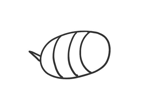 3.在椭圆形的左边， 画出一个小小的细长的三角形， 作为小蜜蜂的尾巴。