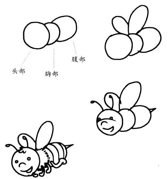 如何画蜜蜂