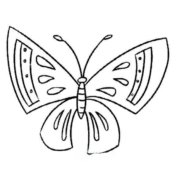 关于蝴蝶的可爱简笔画