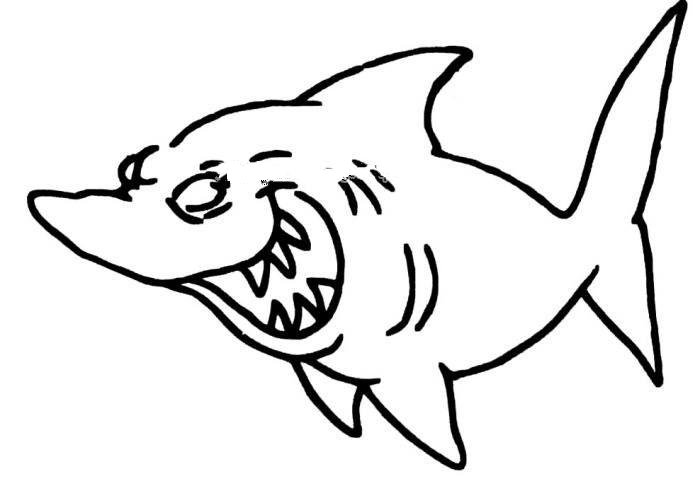 坏笑的鲨鱼