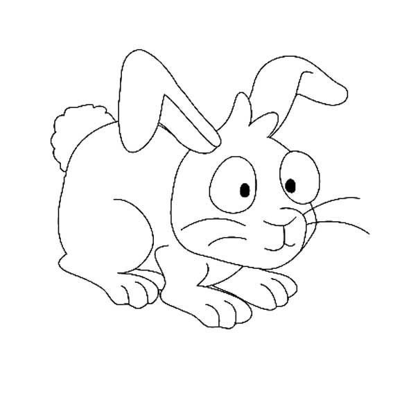 教你如何画小白兔