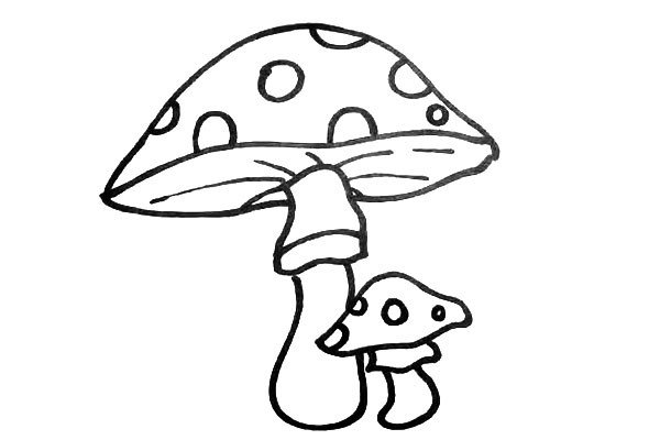 第八步.再用大小不同的圆圈.把蘑菇顶装饰一下。