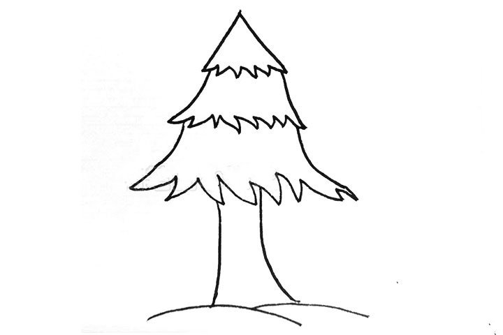 4.画出松树粗壮的树干。