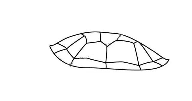 3.继续在龟壳里作画喔~形状有些难画，多加注意