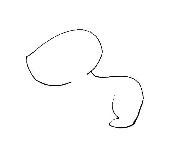 第二步：在后面画上一条曲线，并用一条弧线画出后腿，注意弧线的变化。