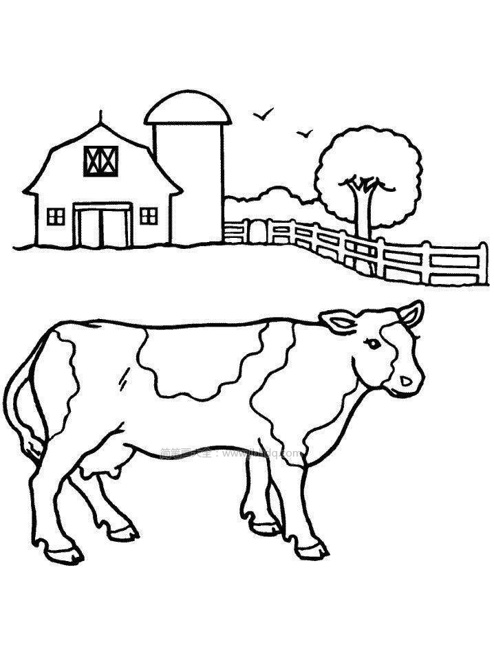农场里的奶牛简笔画图片