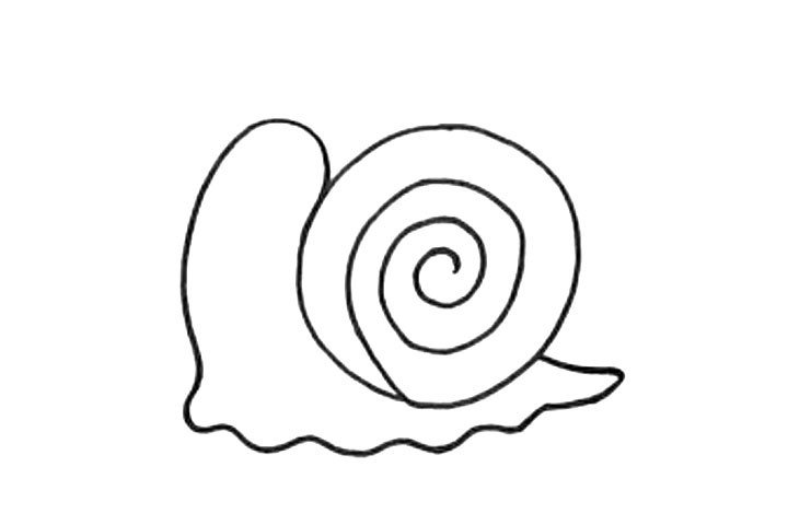 3.然后画蜗牛的身体。