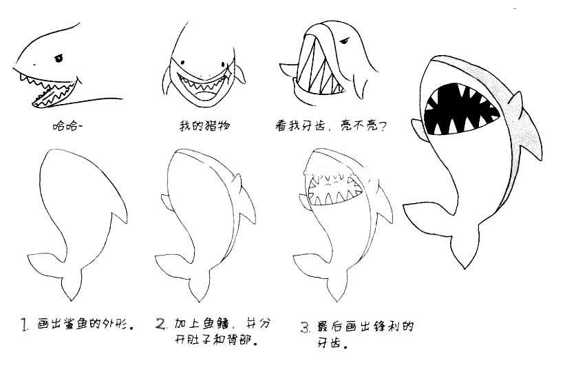 鲨鱼简笔画教程