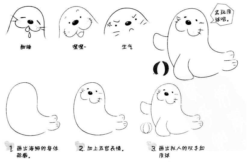 海狮的画法步骤图