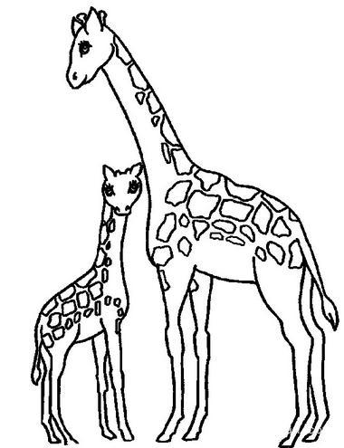动物简笔画 长颈鹿简笔画