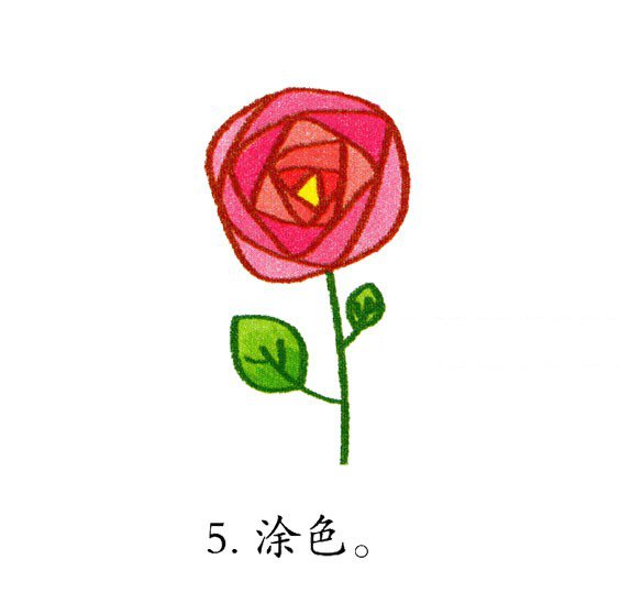 幼儿简笔画 漂亮的玫瑰花