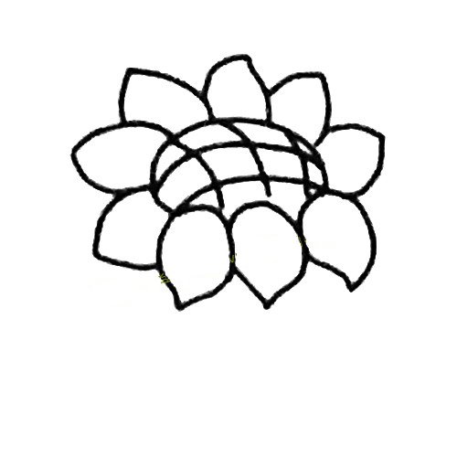3.画剩下的花瓣和中间的网格