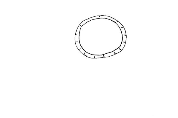 第二步：里面再画上一个圆形，并画上一点小装饰线。