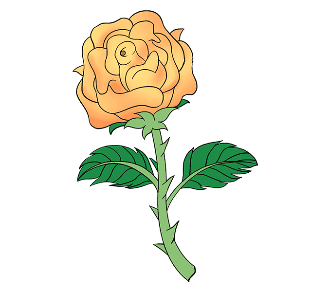 黄玫瑰简笔画图片2