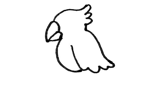 第五步：然后用弧线画出翅膀的感觉，翅膀下面要用小弧线表示羽毛。