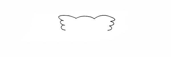 2.画出头部两侧像翅膀一样的羽毛。
