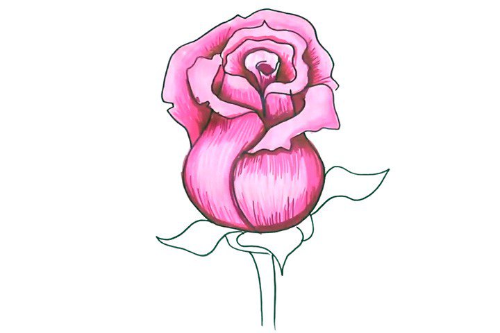 4.先用粉色笔给花朵涂色。