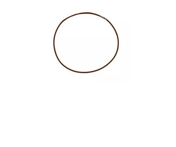 1. 画出圆圆的头。