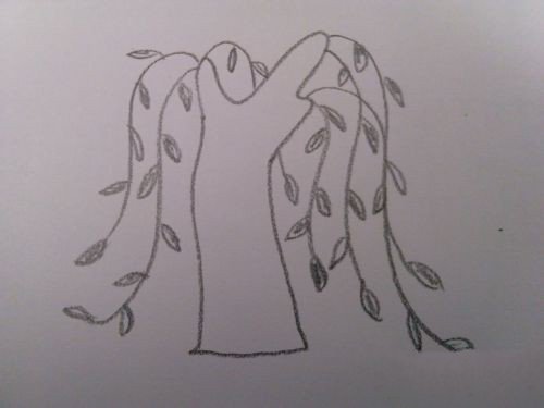 漂亮的柳树简笔画图片