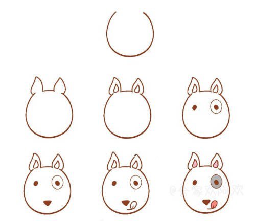 第7种小狗的头像画法步骤图