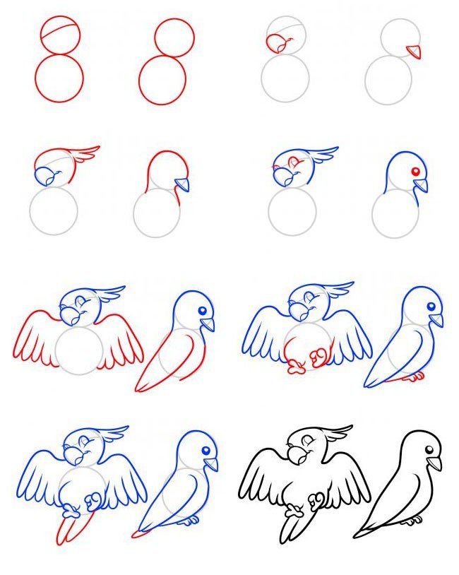 鹦鹉和鸽子简笔画步骤图