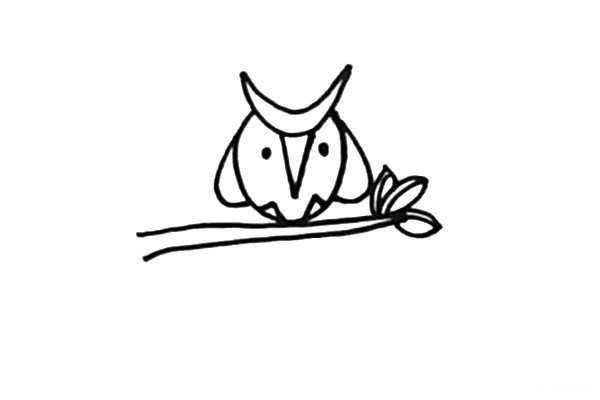 第四步：在猫头鹰的身体下面画上树干和树叶。