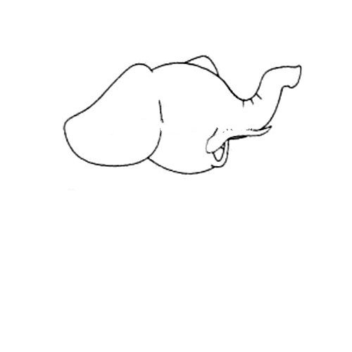 1.画出大象的头部和长长的鼻子。