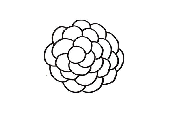 5.直到用不同形状的椭圆组成一串葡萄。