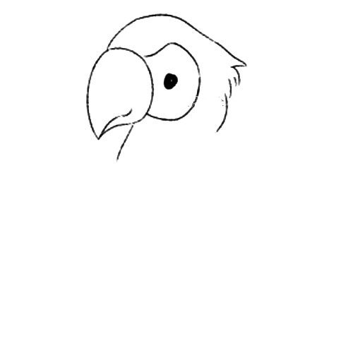 2.画出鹦鹉的眼睛。