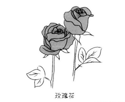 玫瑰花简笔画图片