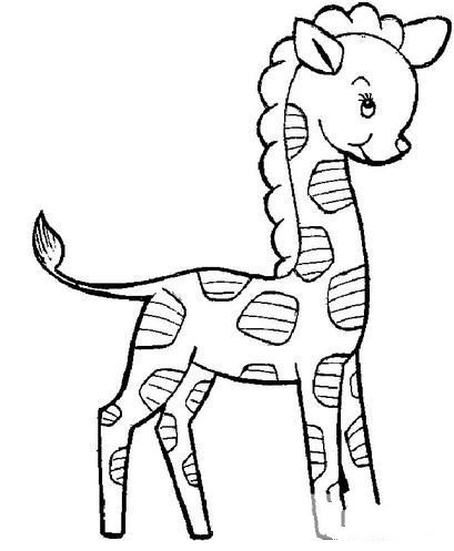 动物简笔画大全 长颈鹿简笔画画法