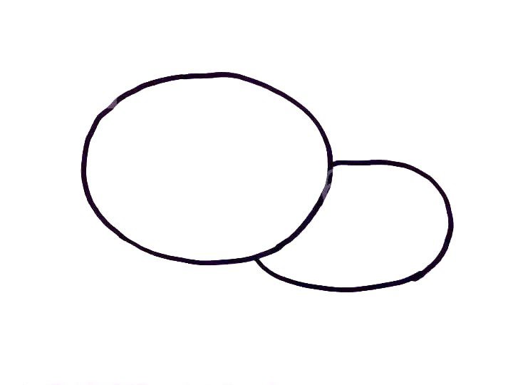 2.接着在大圆圈的右边画一个叠在下面的稍微小点的椭圆。