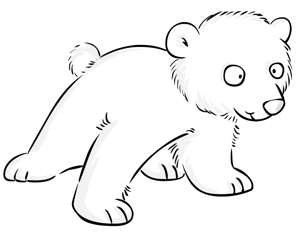 可爱的小北极熊