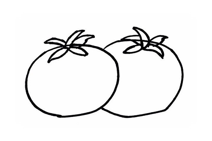 4.象妈画的是一组前后遮挡的西红柿，另外一个的西红柿的叶子画法也是一样的，注意观察倒放的西红柿，底部是浅浅凹进去的一个小圆坑。