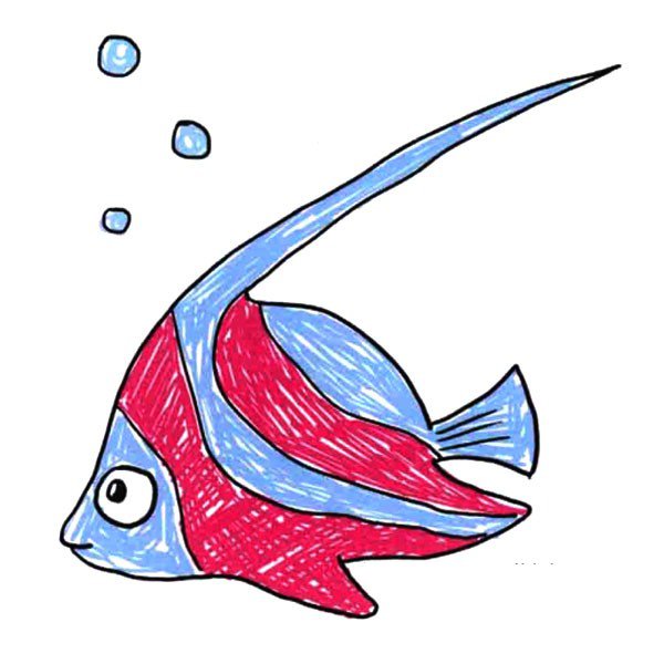 漂亮的小鱼简笔画图片4