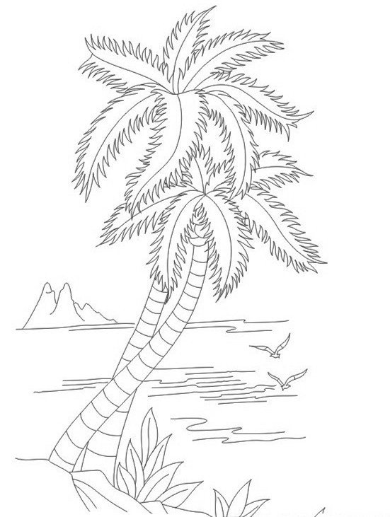 2016夏日沙滩椰子树简笔画