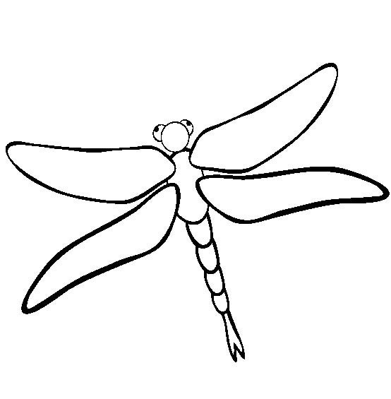 昆虫图片 蜻蜓简笔画图片